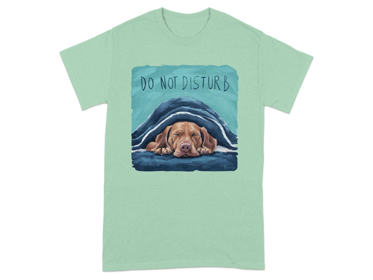 Do Not Disturb Sleeping Dog Graphic T-Shirt product type