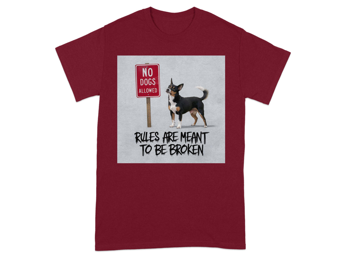 Rules Are Meant To Be Broken T-shirt product