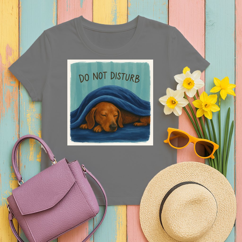 Do Not Disturb Sleeping Dog Printed Grey T-Shirt product