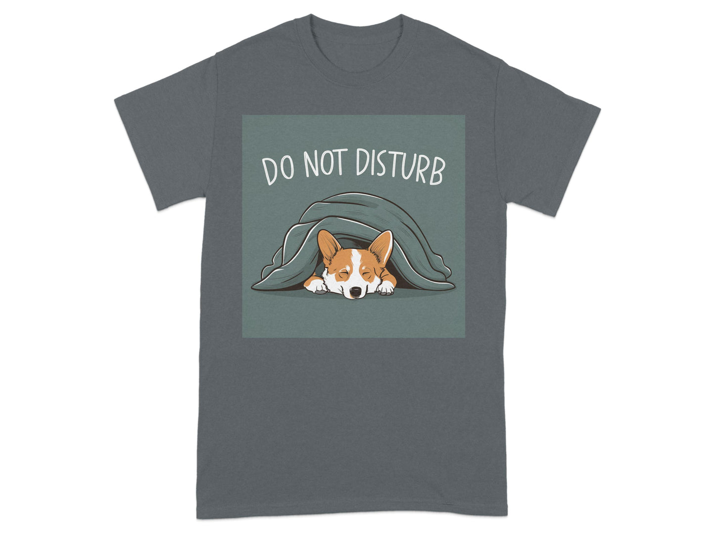 Corgi Under Blanket Do Not Disturb Tee Shirt product type