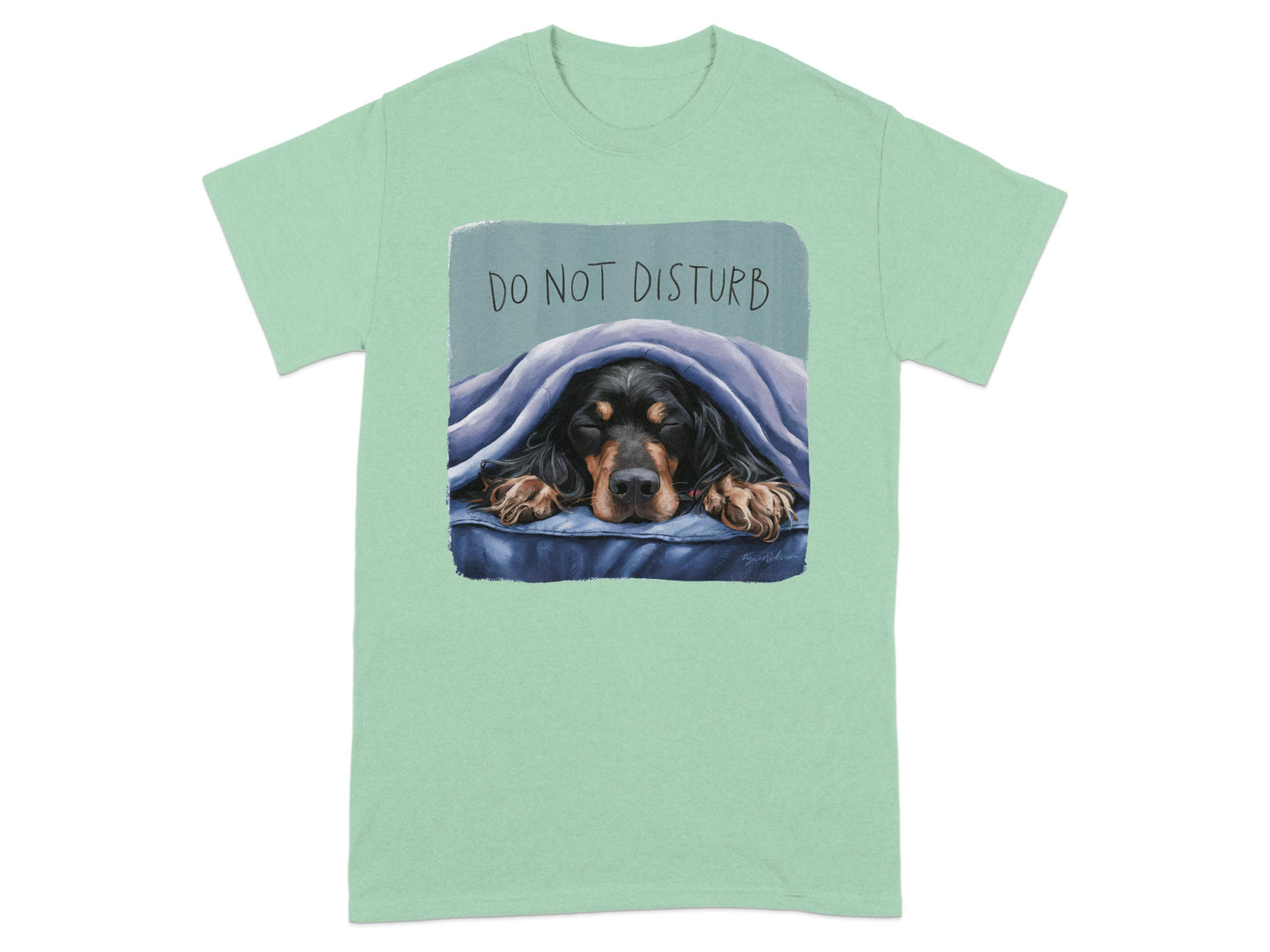 Do Not Disturb Sleeping Dachshund Graphic T-shirt product