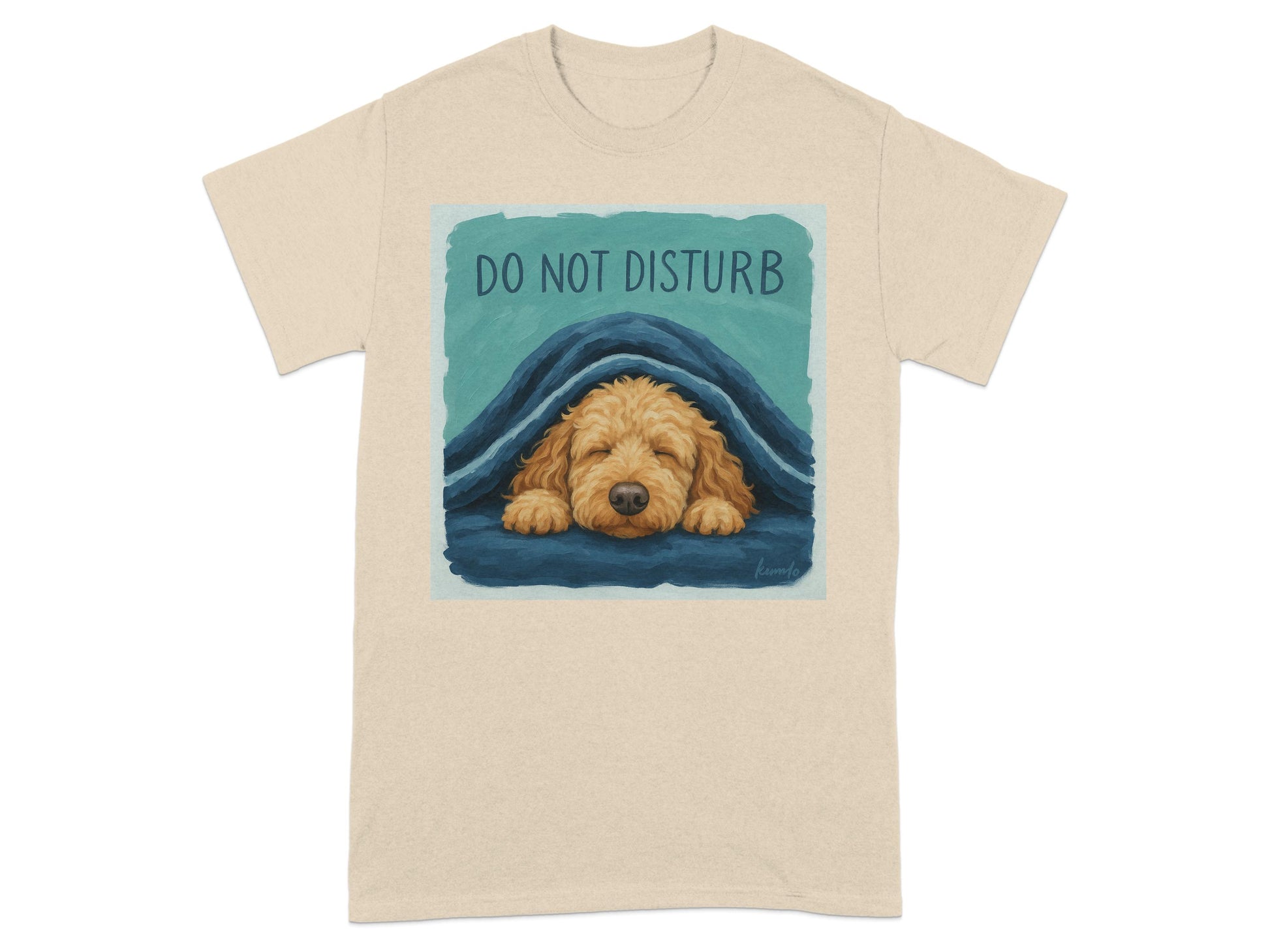 Do Not Disturb Sleeping Dog T-Shirt product type