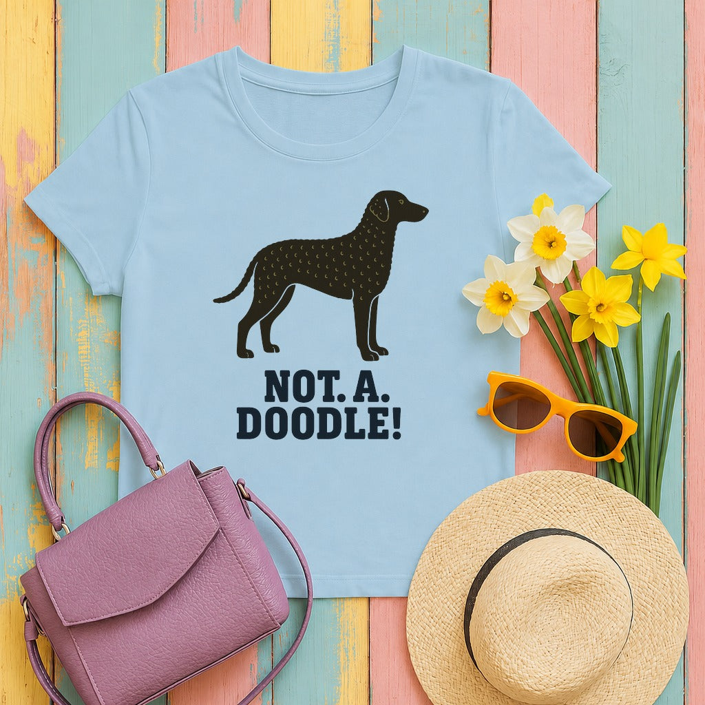 Curly-Coated Retriever not a doodle tee flat lay