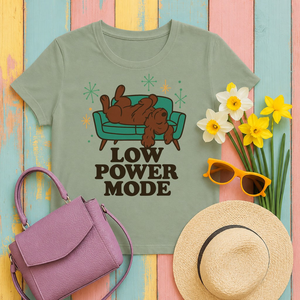 Boykin Spaniel Low Power Mode T-shirt in Sage