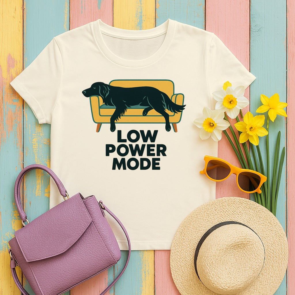 Flat-Coat Low Power Mode Tee in Natural