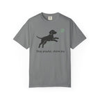 Stay Playful Chase Joy Dog Graphic T-shirt