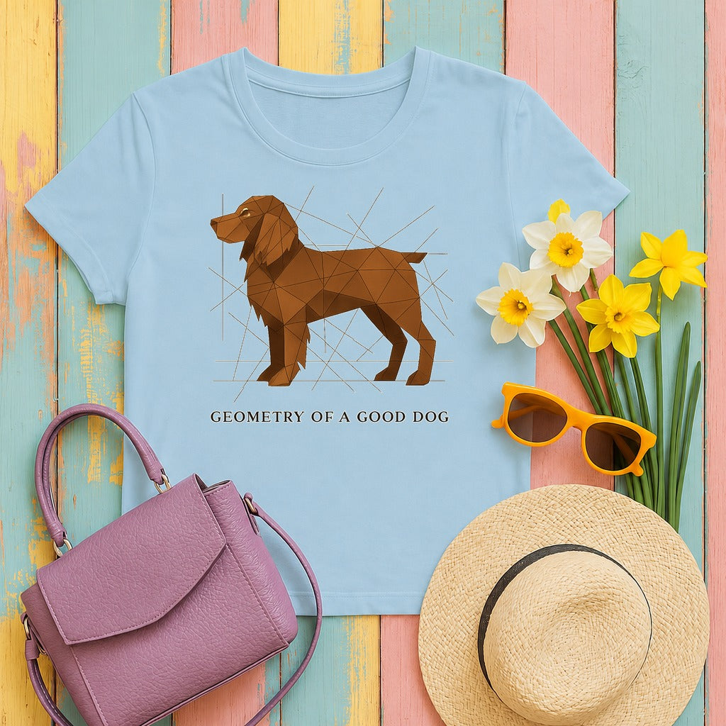 Boykin Spaniel Geometry of a Good Dog T-shirt in Light Blue