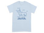 0ad06e0b-a86a-4a89-b51c-023645a434c9