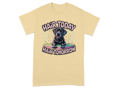 Hair Today Hair Tomorrow Graphic T-Shirt product