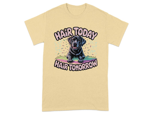 Hair Today Hair Tomorrow Graphic T-Shirt product