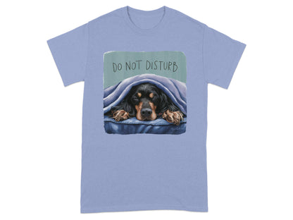 Do Not Disturb Sleeping Dog Graphic T-Shirt product type