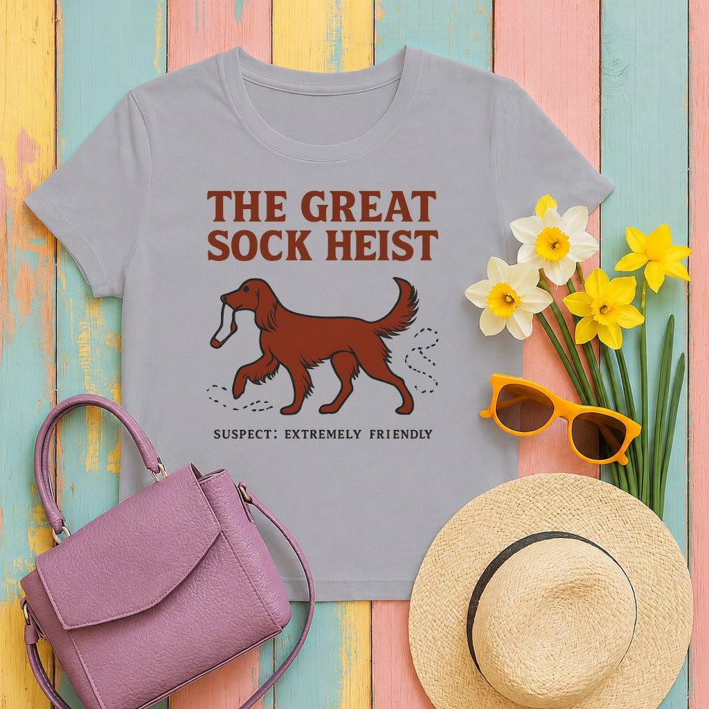 Irish Setter Great Sock Heist T-shirt in Athletic Heather