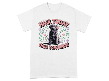Hair Today Hair Tomorrow Labrador Retriever Shirt product