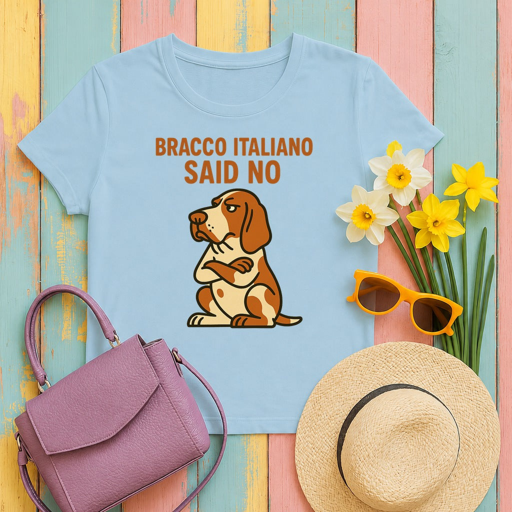 Bracco Italiano Said No Tee in Light Blue