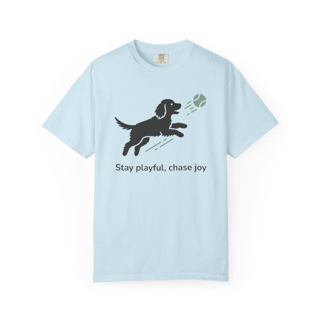 Stay playful chase joy dog chasing ball t-shirt
