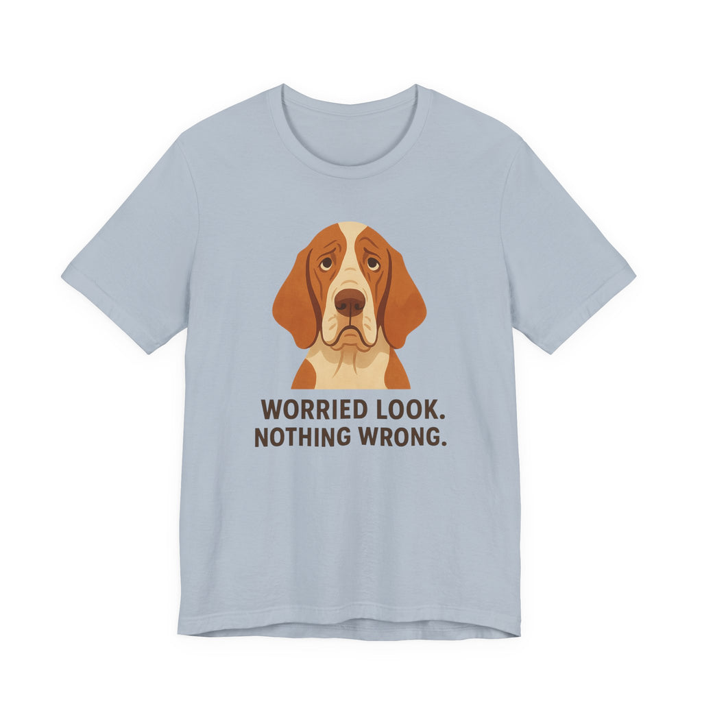 Bracco Italiano Worried Look Tee