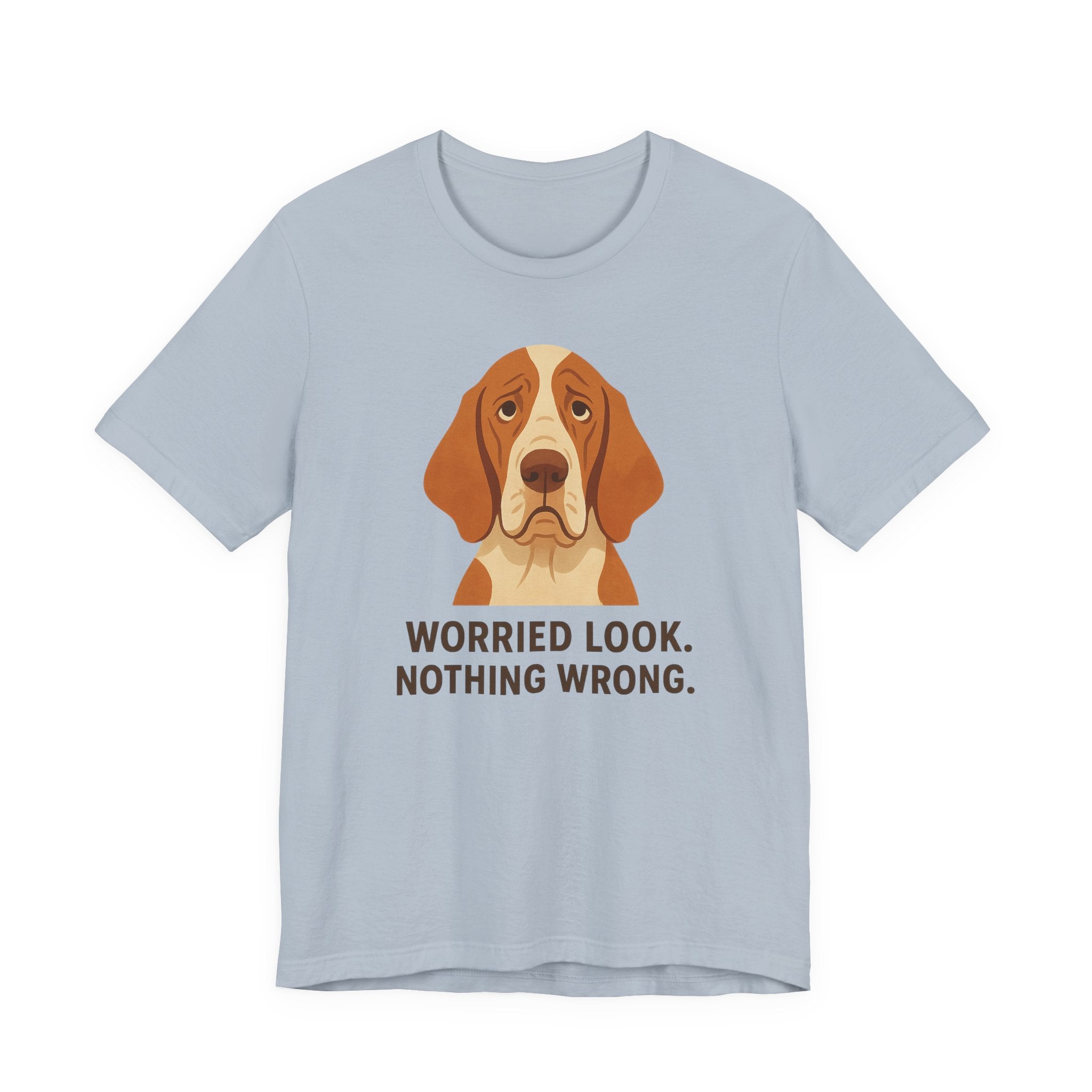 Bracco Italiano Worried Look Tee