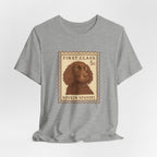 Boykin Spaniel First Class Stamp Tee