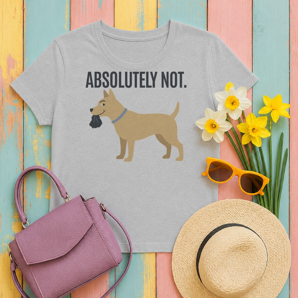 Absolutely Not Humor T-Shirt in Sport Grey