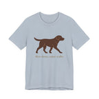 Chocolate Lab Slow Down Enjoy Walks Tee
