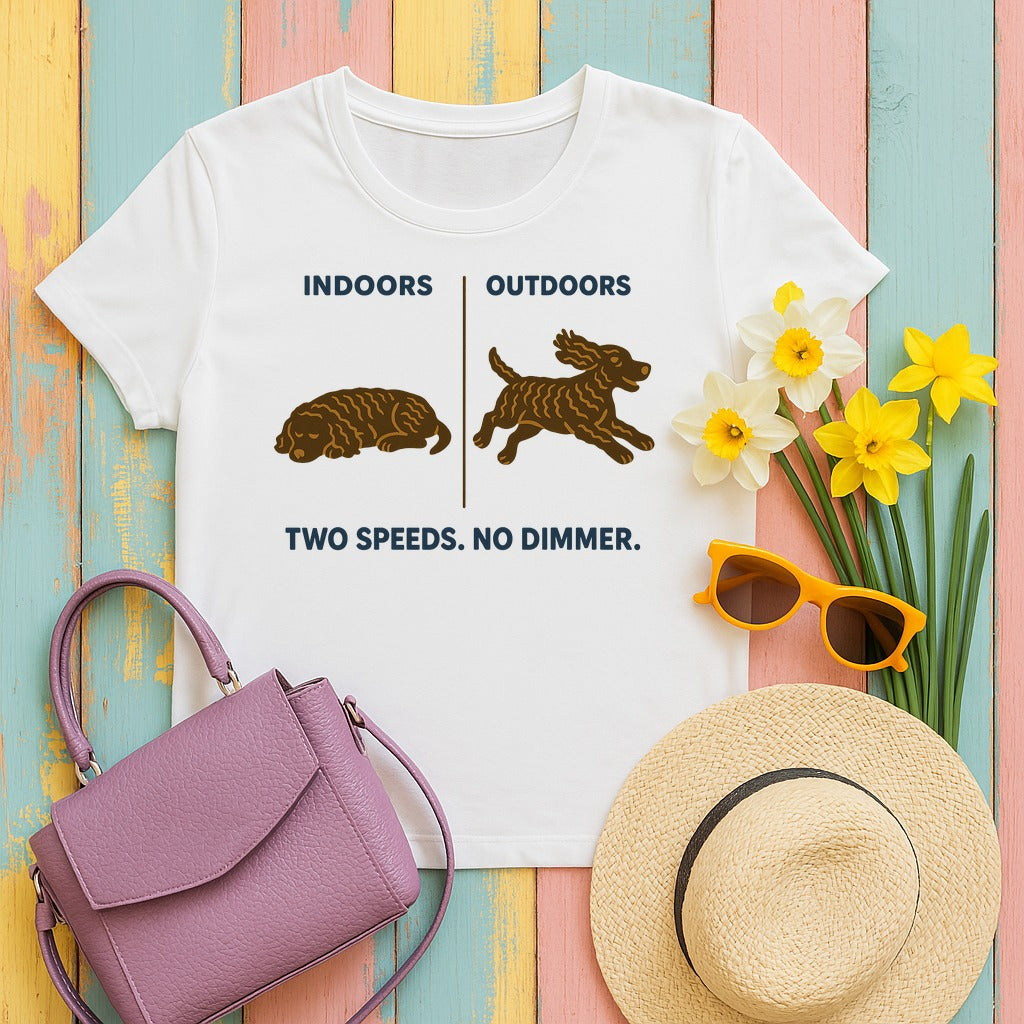 American Water Spaniel Two Speeds No Dimmer Tee in White