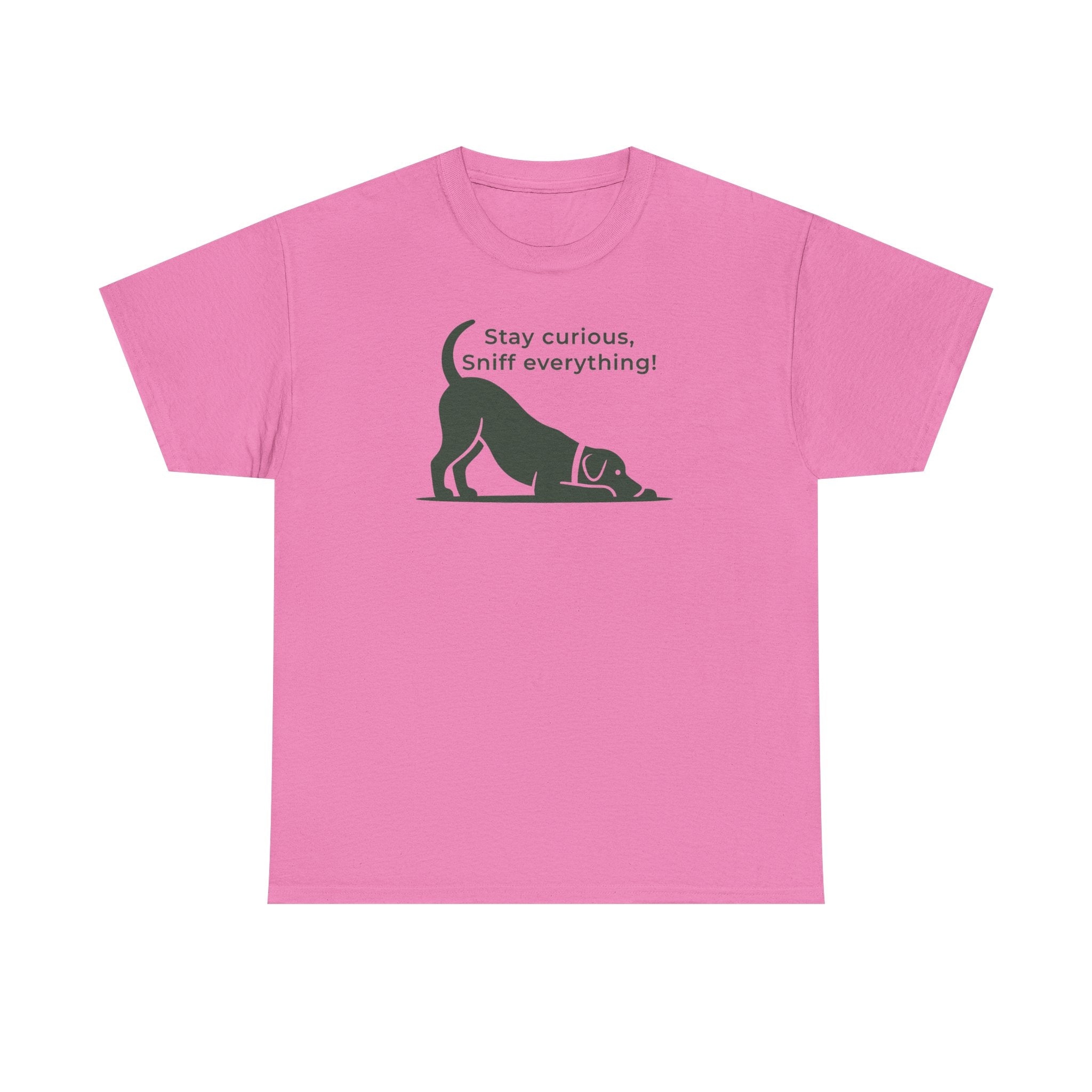 Stay Curious Dog Play Bow Graphic T-Shirt