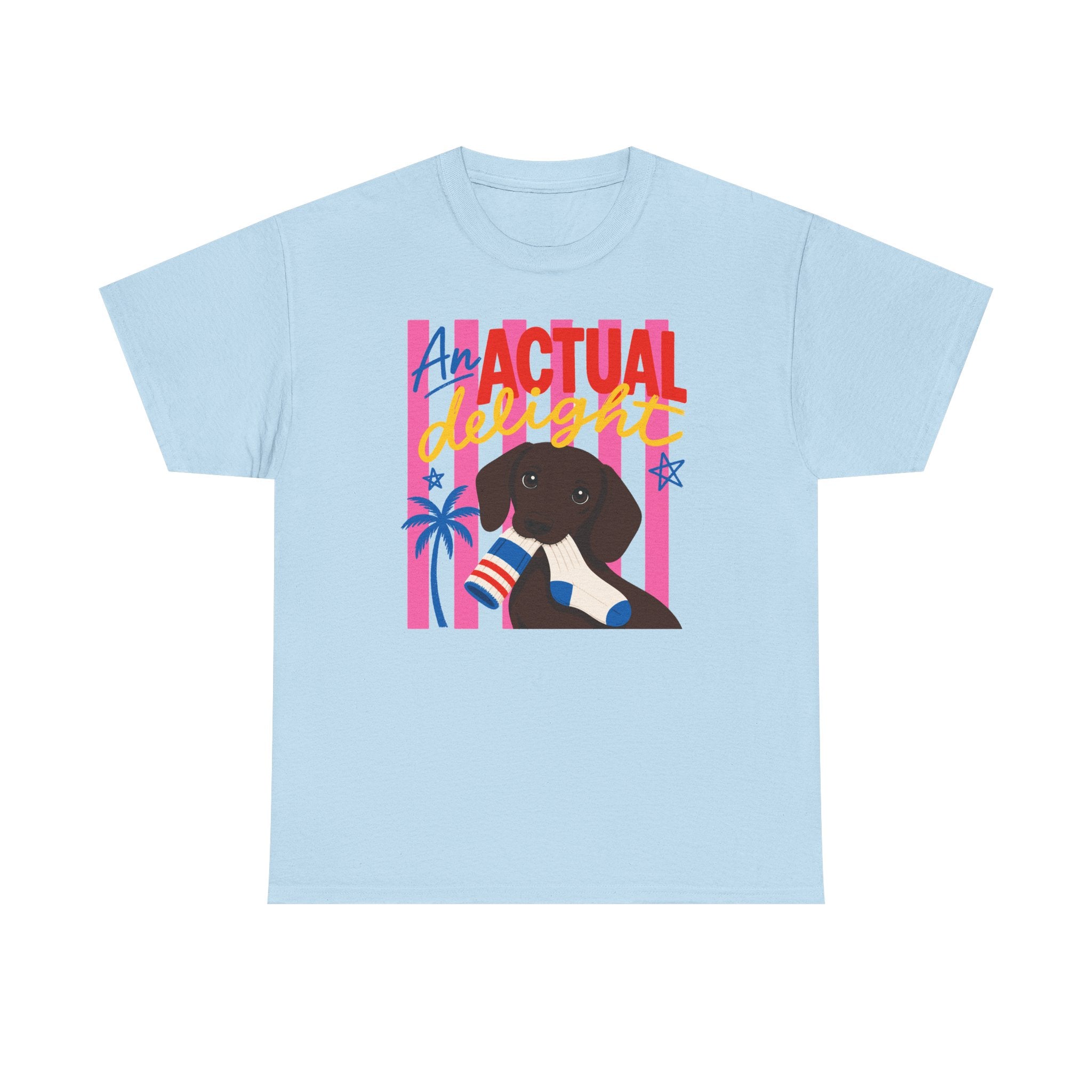 Actual Delight Dachshund & Socks T-Shirt