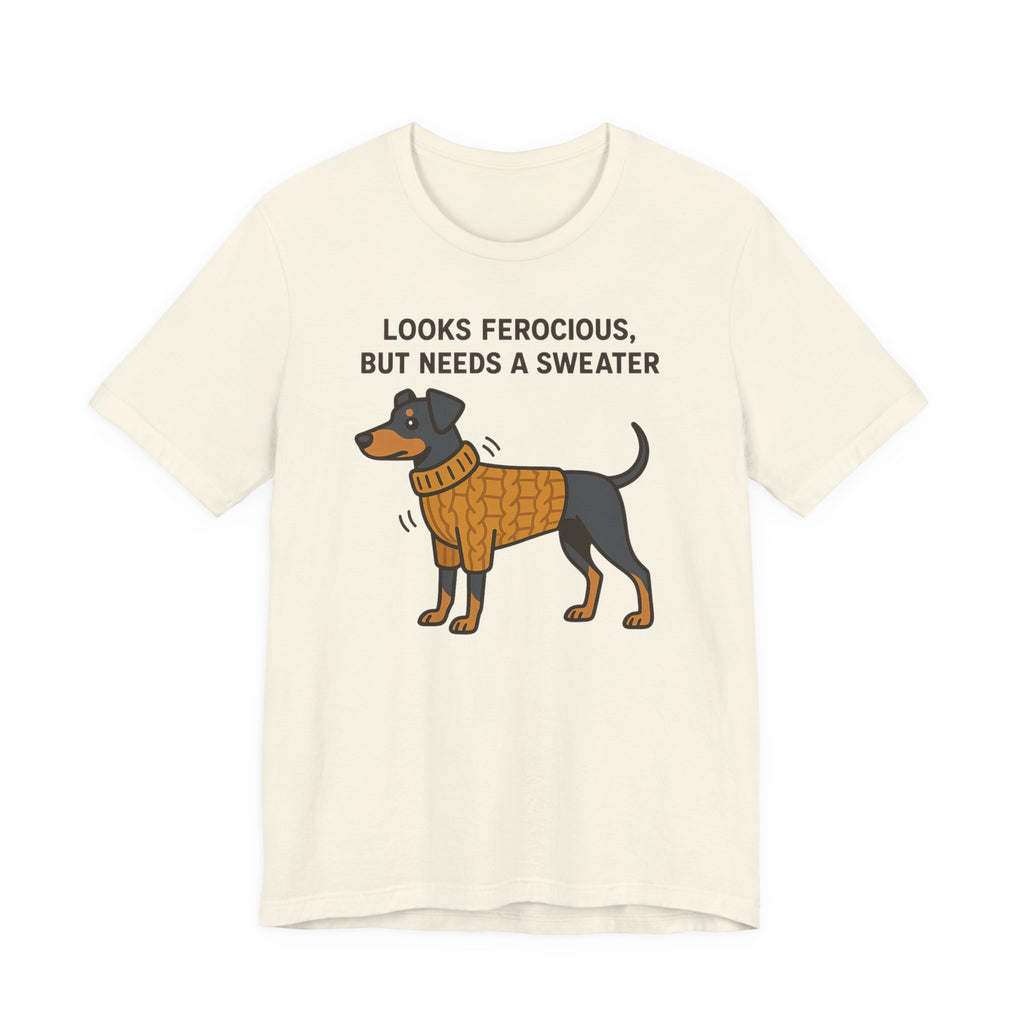 Doberman Looks Ferocious But Needs a Sweater Tee