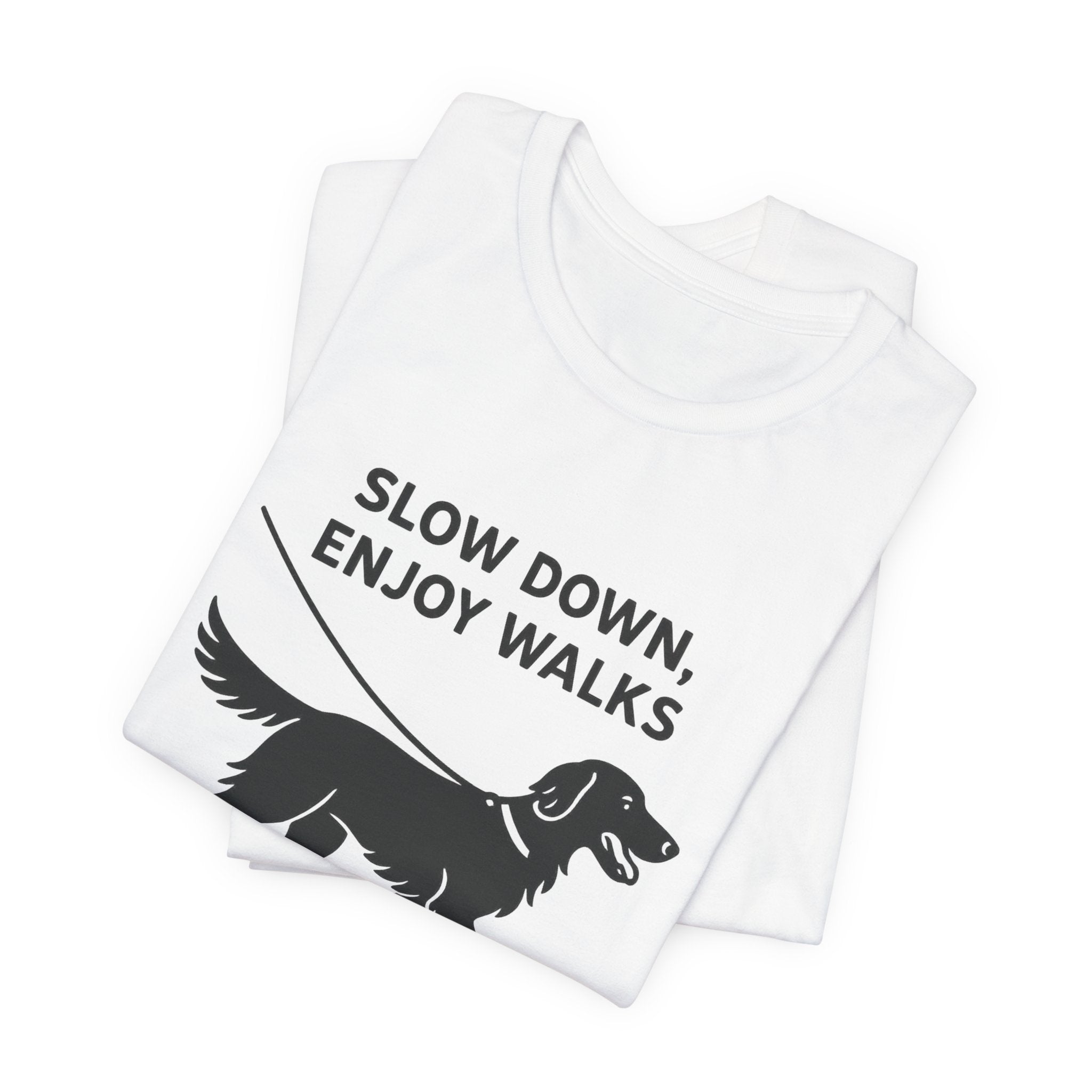 Flat-Coat Slow Down Enjoy Walks Tee