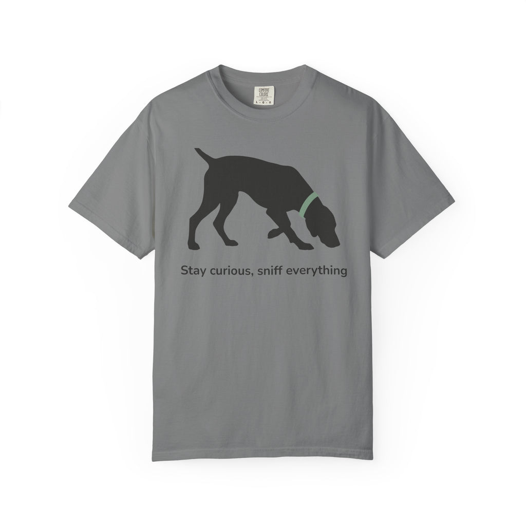 Stay Curious Vizsla T-Shirt