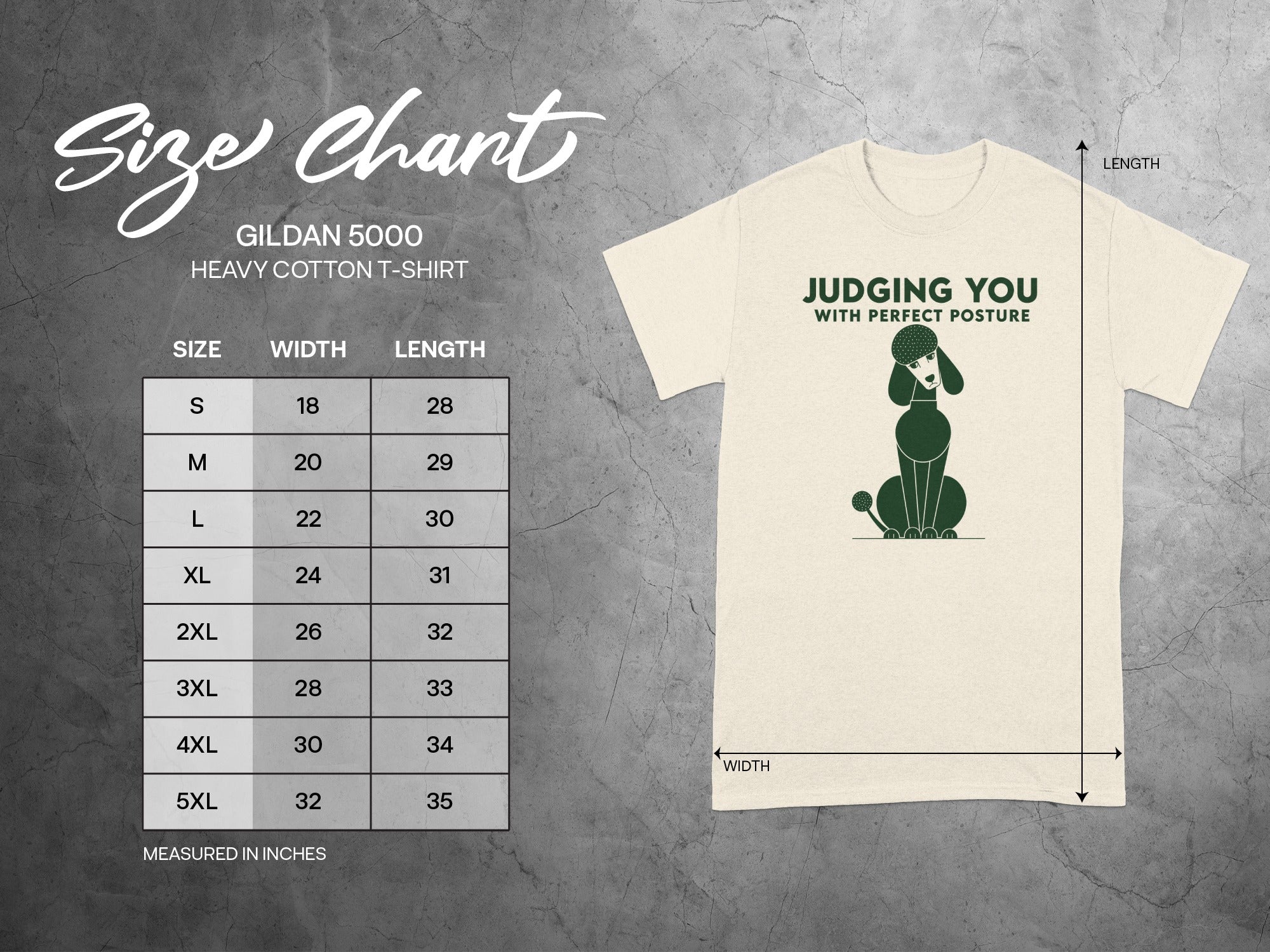 Gildan 5000 Heavy Cotton T-shirt size chart with poodle graphic.