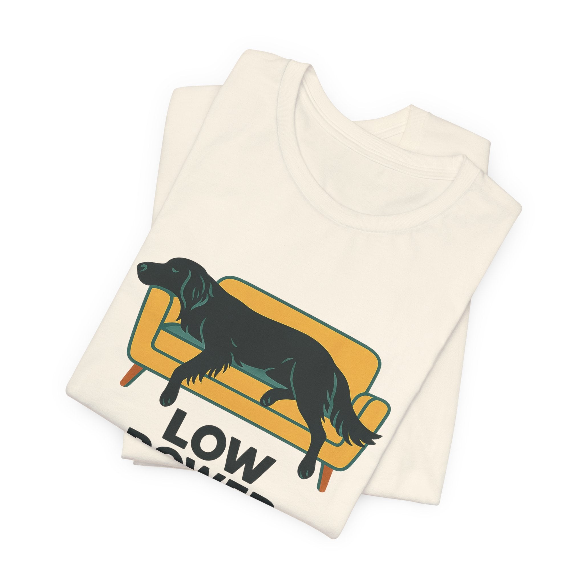 Flat-Coat Low Power Mode Tee
