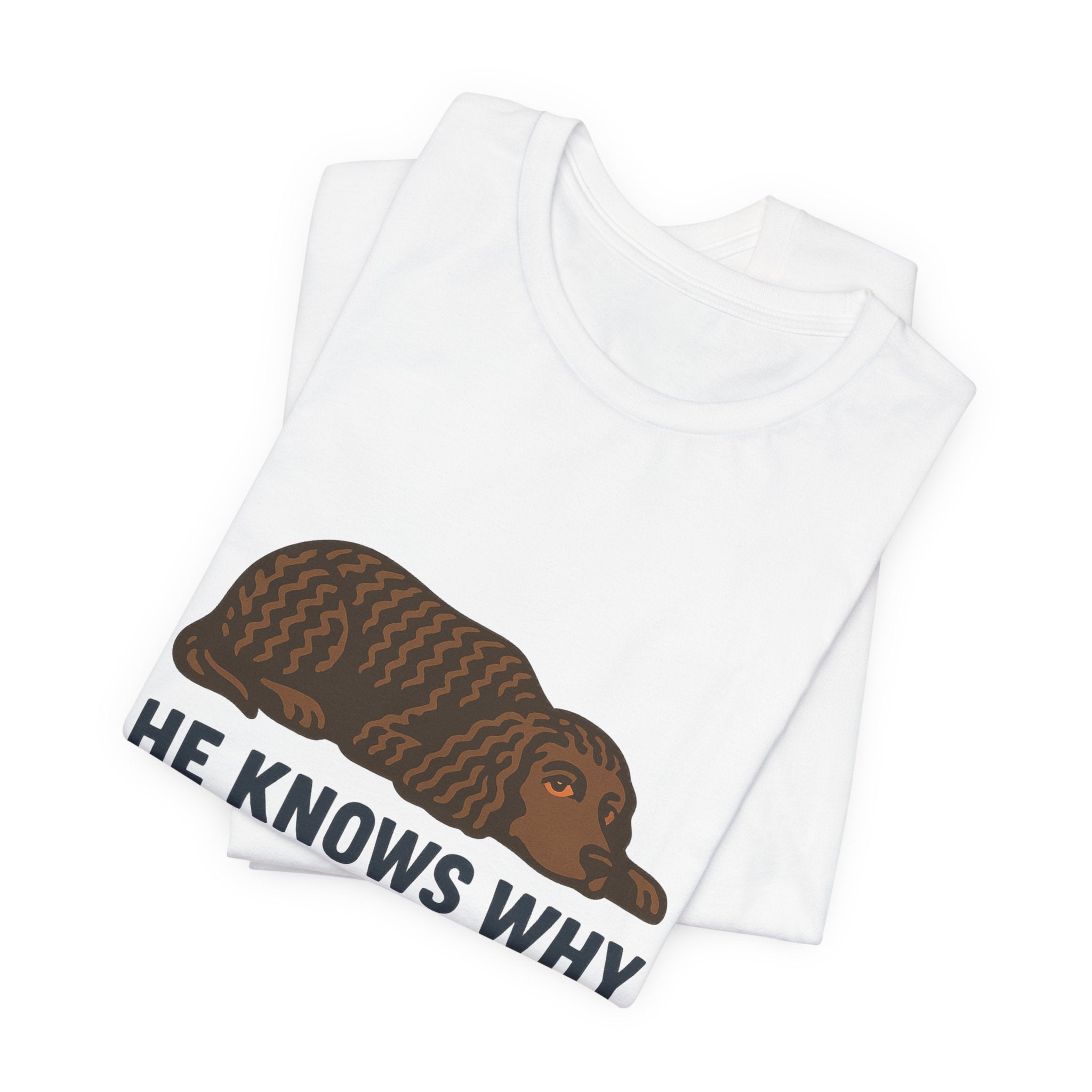 American Water Spaniel He Knows Why You're Calling Him Tee