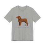 Boykin Spaniel Geometry of a Good Dog Tee