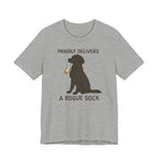 Flat-Coat Proudly Delivers a Rogue Sock Tee
