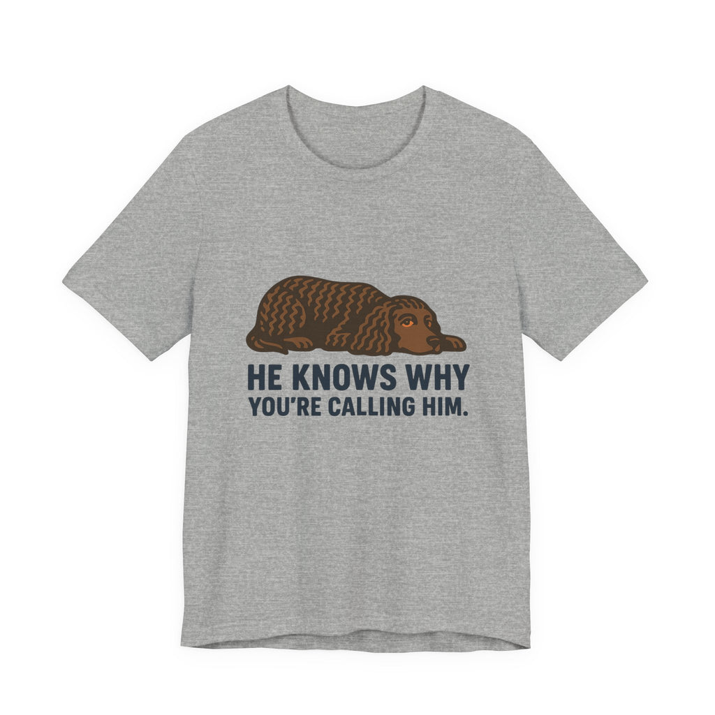 American Water Spaniel He Knows Why You're Calling Him Tee