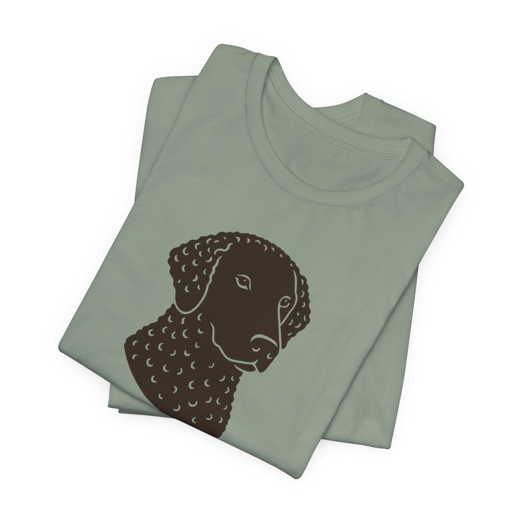 Curly-Coated Retriever If You Know You Know Tee