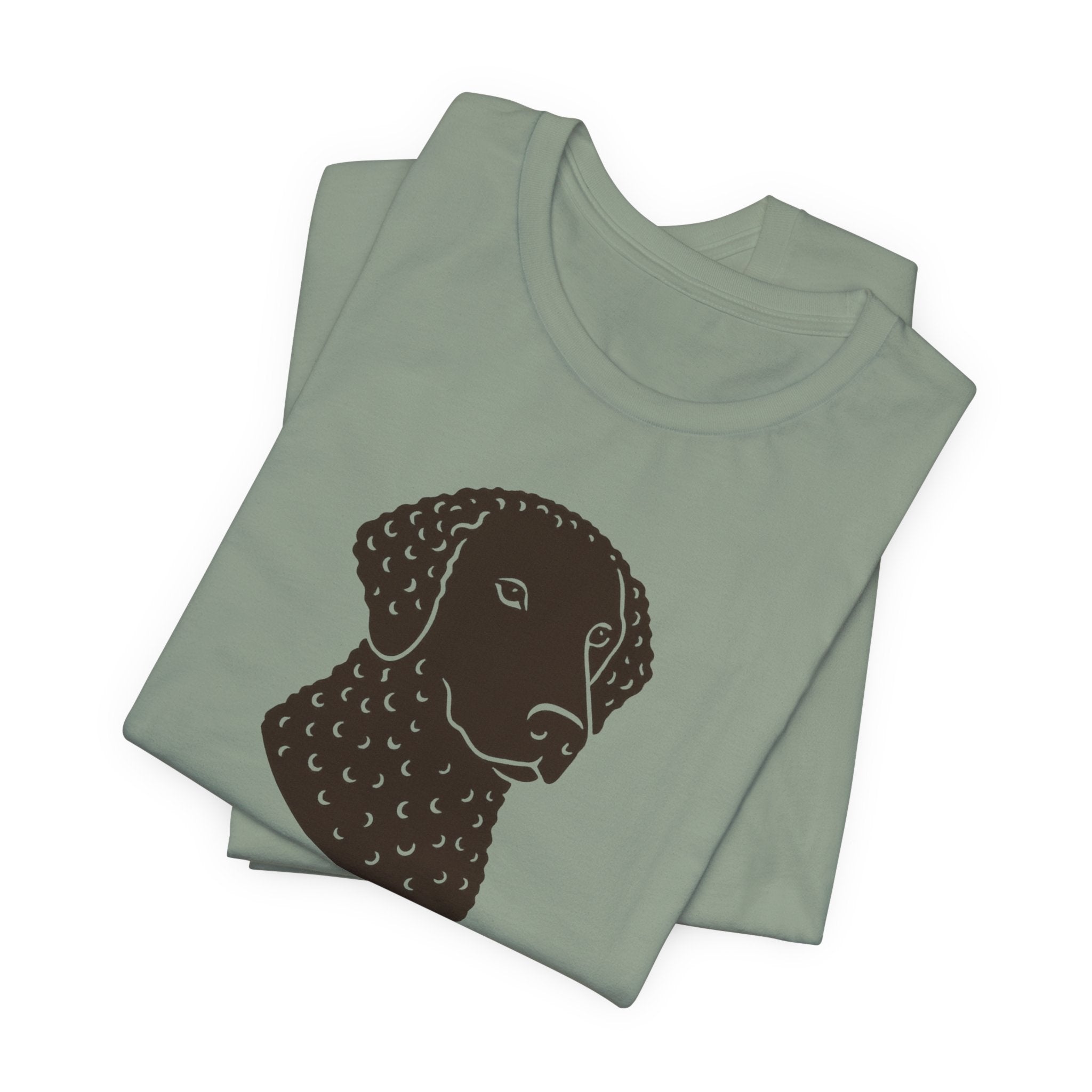 Curly-Coated Retriever If You Know You Know Tee