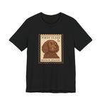Boykin Spaniel First Class Stamp Tee