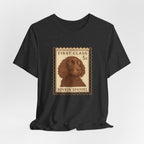 Boykin Spaniel First Class Stamp Tee