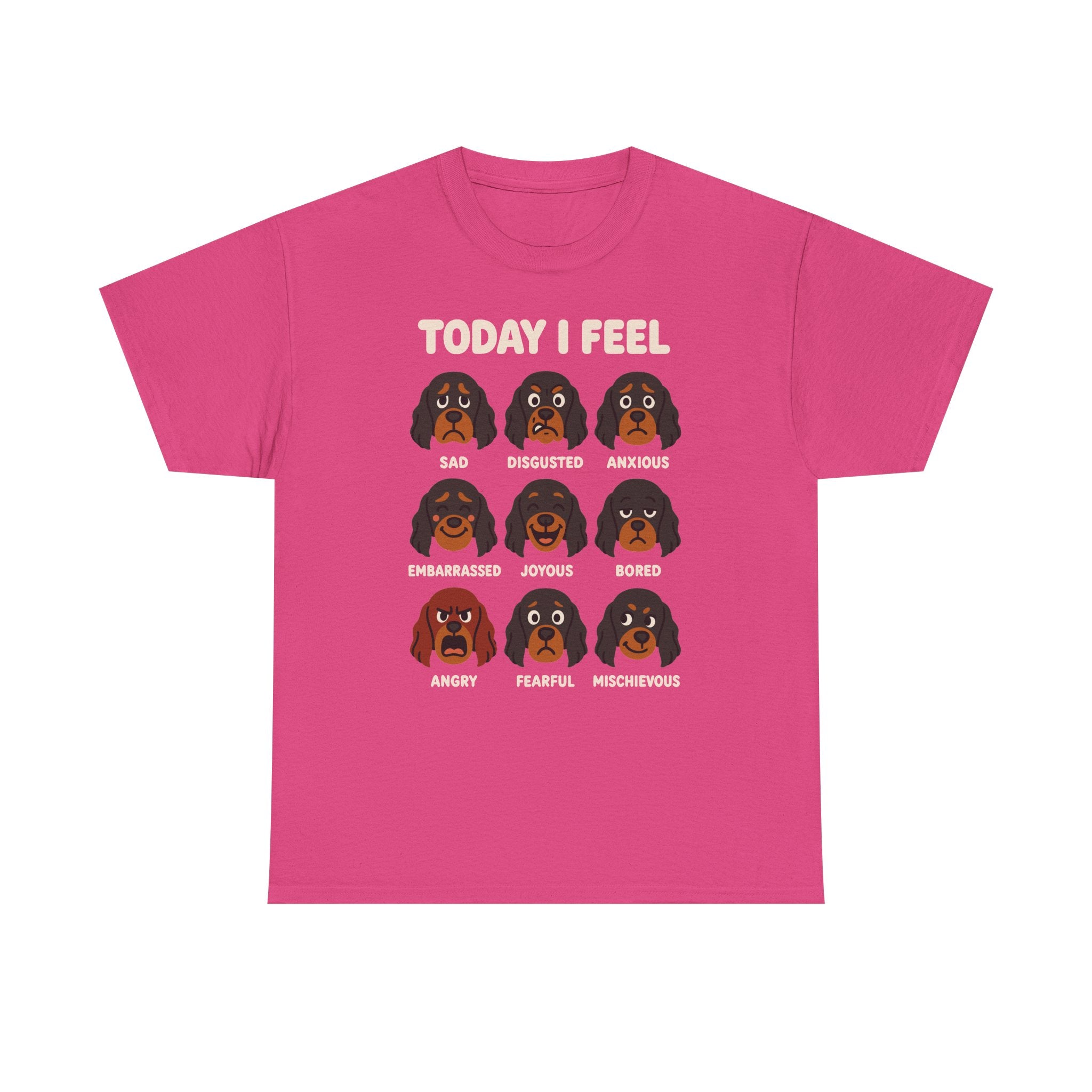 Today I Feel Various Gordon Setter Emotions T-Shirt