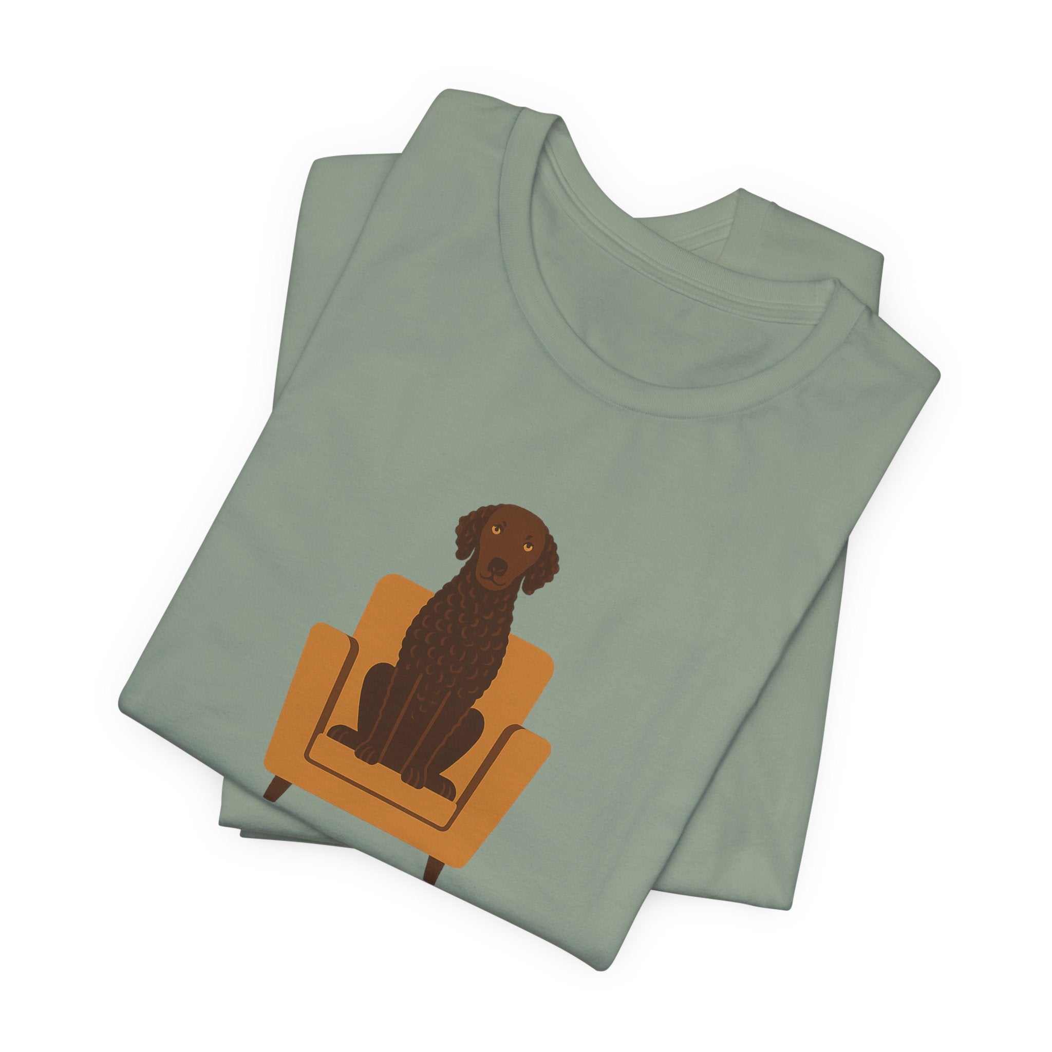 Curly-Coated Retriever My Dog Took The Chair Tee