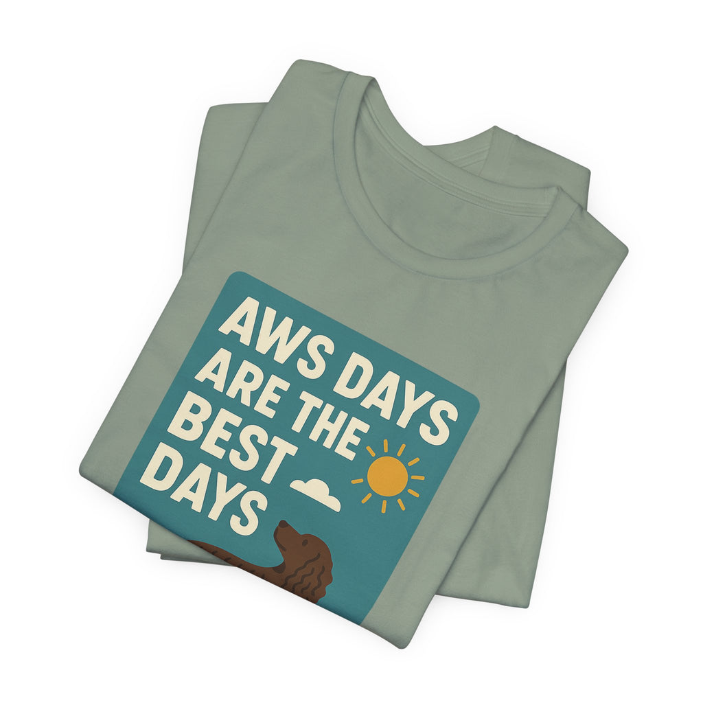 American Water Spaniel AWS Days Are The Best Days Tee