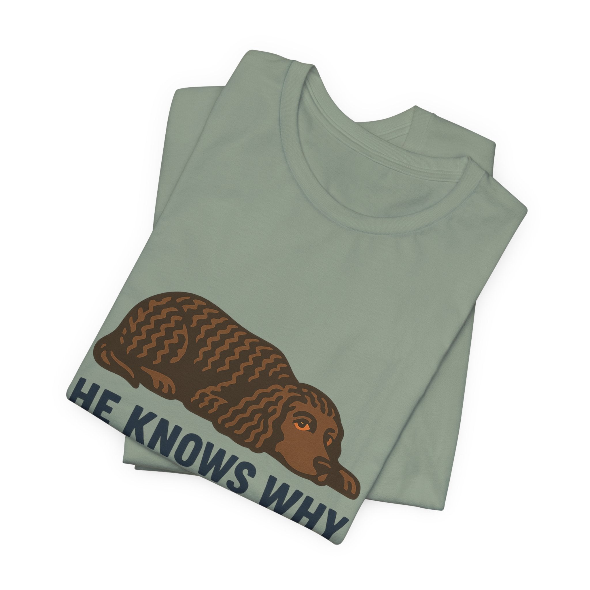 American Water Spaniel He Knows Why You're Calling Him Tee