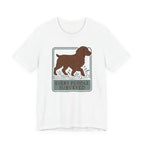 Boykin Spaniel Every Puddle Surveyed Tee