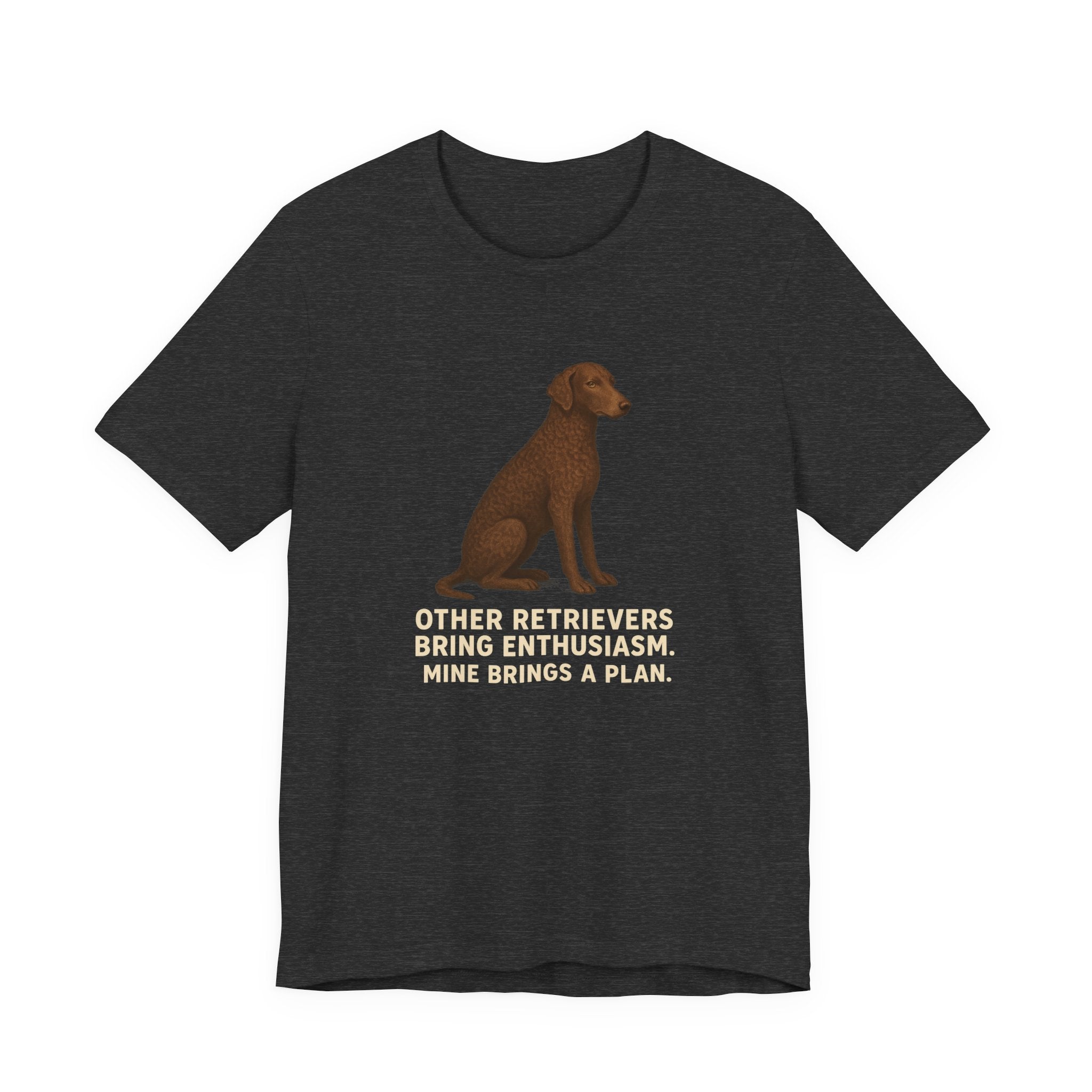 Curly-Coated Retriever Mine Brings A Plan Tee