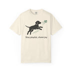 Stay Playful Vizsla T-Shirt