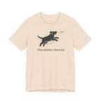 Stay Playful Lab T-Shirt