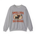 Small Dog Big Drama Chihuahua Sweatshirt in Sport Grey