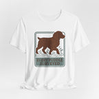 Boykin Spaniel Every Puddle Surveyed Tee